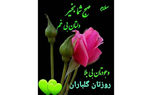 فال روزانه شخصی/ 22 خرداد ماه + فیلم
